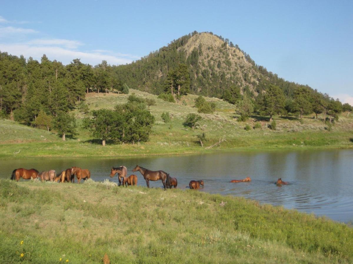 Lake Guest Ranch Villa Devils Tower Bagian luar foto