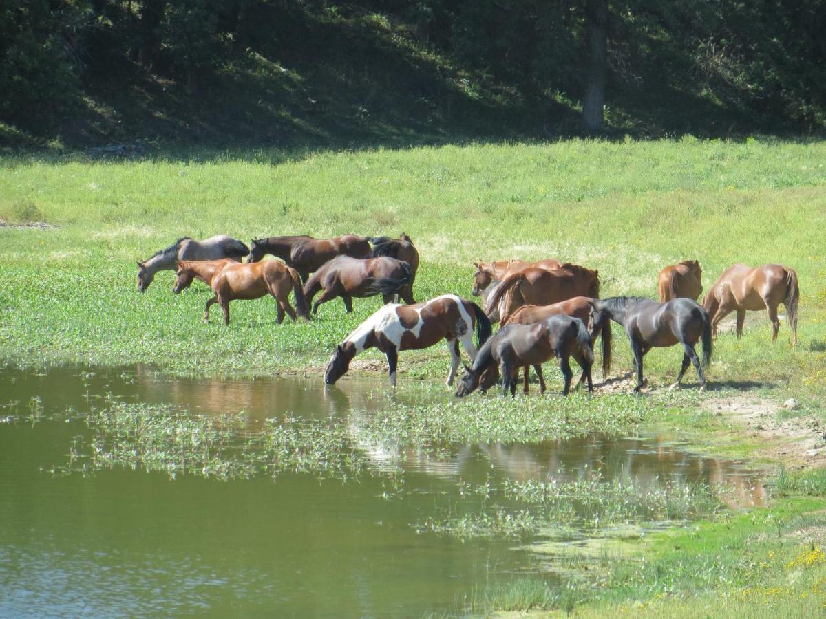 Lake Guest Ranch Villa Devils Tower Bagian luar foto